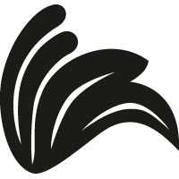 Лепестки 6