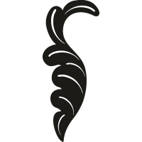 Лепестки 25