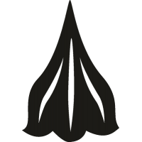 Лепестки 44