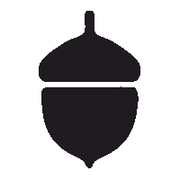 Орех 2
