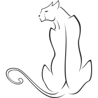 Дикая Кошка