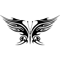 Бабочка 127
