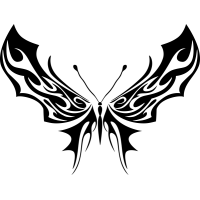 Бабочка 144