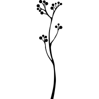 Ветка