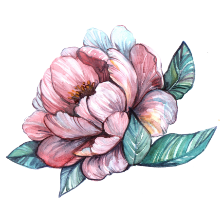 Watercolor Peony